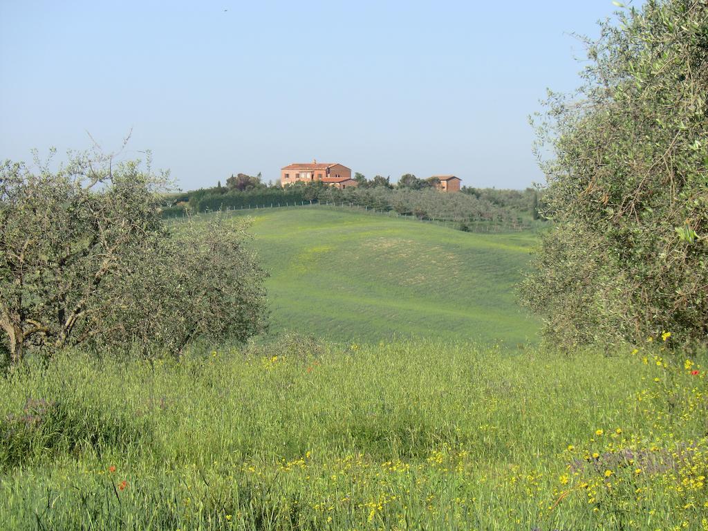 Agriturismo Podernuovo Ашано Экстерьер фото